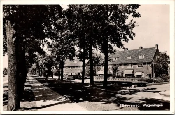 Wageningen, Nieuweweg 1964 (GD)