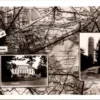 Groeten uit Bilthoven, Gemeentehuis 1952 (UT)