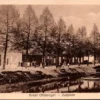 Zutphen, Graaf Ottosingel (GD)