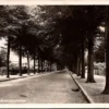 Velp, Rozendaalschelaan 1949 (GD)