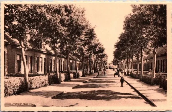 Waalwijk, Baardwijk, Vooreinde (NB)