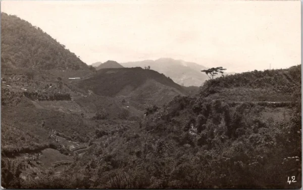 Naripanweg, Bandung, Indonesië