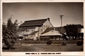Pleystowe Sugar Mill, Mackay 1952 (QLD)