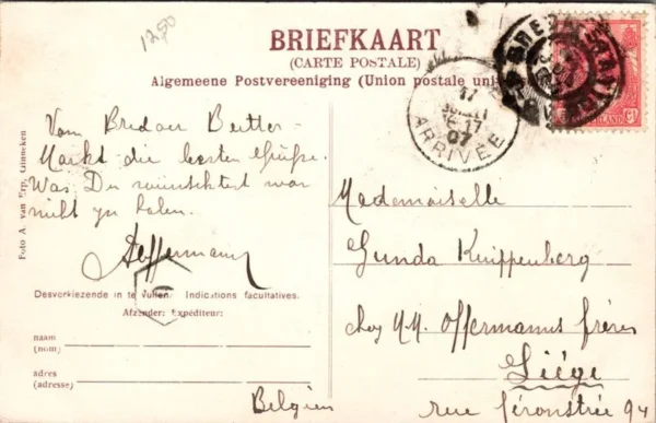 Breda, Varkensmarkt op het Kasteelplein 1907 (NB)