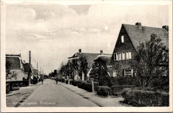 Sprang-Capelle, Vrijhoeve 1954 (NB)