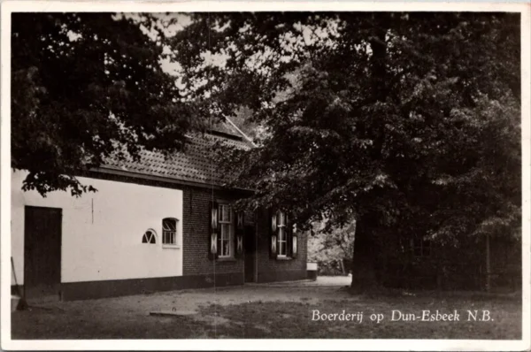 Esbeek, Boerderij op Dun-Esbeek 1950 (NB)