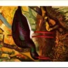 Zwarte Ooievaar / Black stork – Nº 76 – (KBIN / IRSNB)