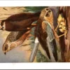 Bruine Kuikendief / Marsh Harrier – Nº 109 – (KBIN / IRSNB)