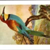 Bieënsnapper / European bee-eater – Nº 194 – (KBIN / IRSNB)