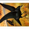 Hvogels_015 Roek / Rook – Nº 204 – (KBIN / IRSNB)