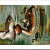 Kuiffuut / Great Crested Grebe – Nº 258 – (KBIN / IRSNB)