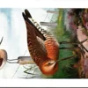 Nvogels_008 Griet / Black-tailed Godwit – Nº 299 – (KBIN / IRSNB)
